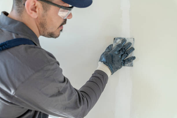 Best Drywall Removal and Disposal  in Ludington, MI